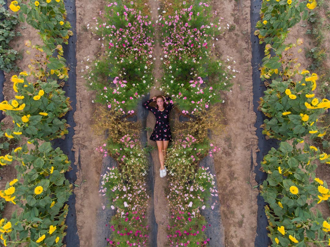 aerial drone photo of high school senior